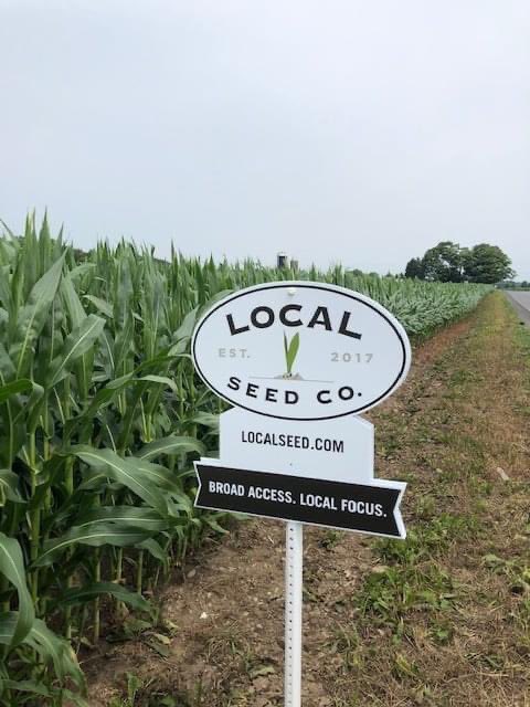 RevereSeed's tweet photo. Local Seed Co. LIFT plot in Adams, New York .
#GoLocal #LIFT #LocalSeedCo #GrowLocal #PlantLocal https://t.co/FmAU6rZnmo