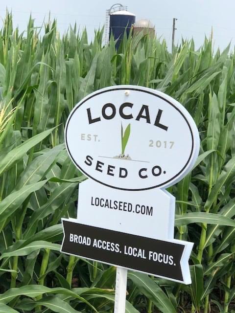 RevereSeed's tweet photo. Local Seed Co. LIFT plot in Adams, New York .
#GoLocal #LIFT #LocalSeedCo #GrowLocal #PlantLocal https://t.co/FmAU6rZnmo