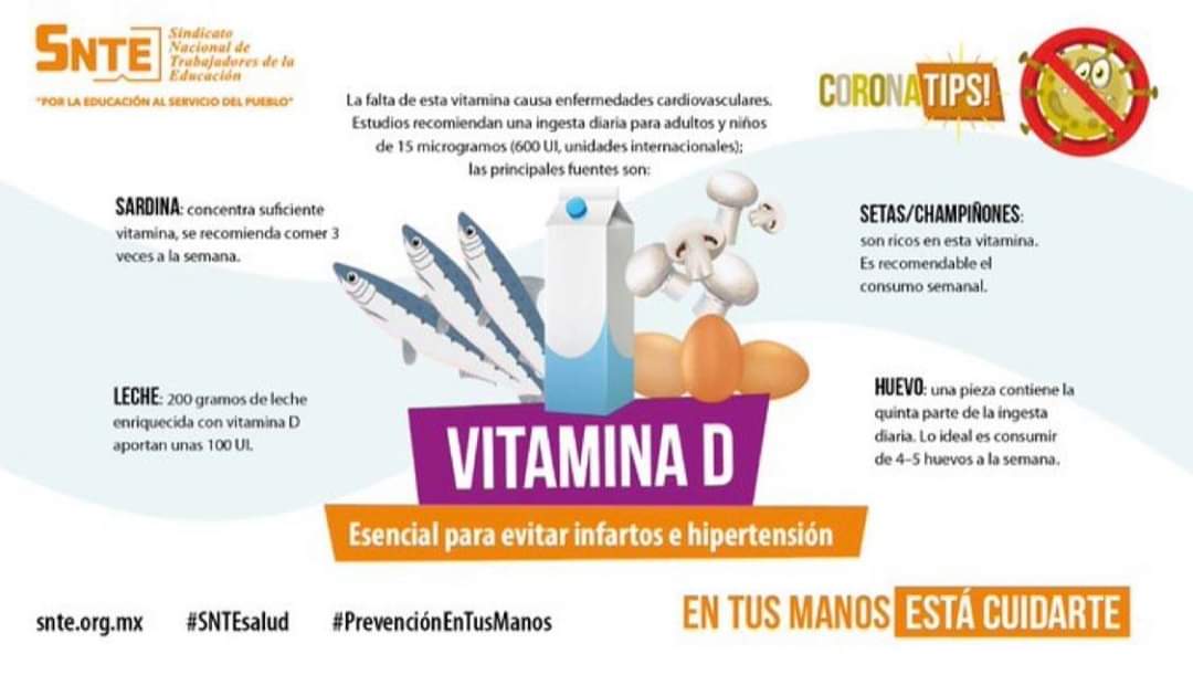 Fedessp Veracruz tweet media