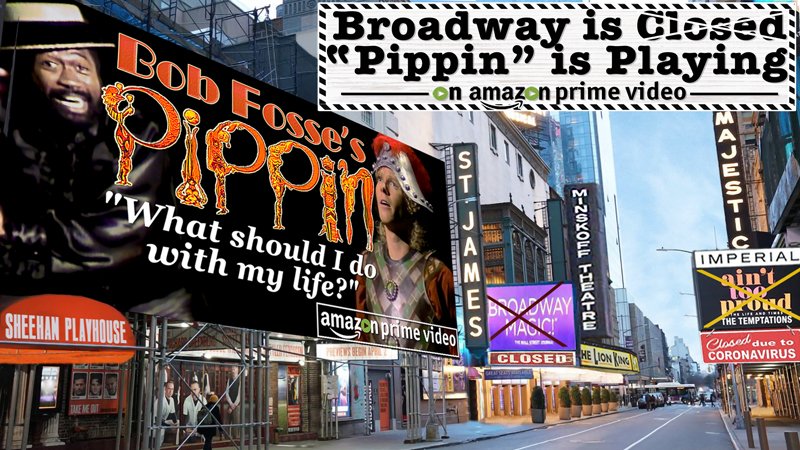 David Sheehan tweet media