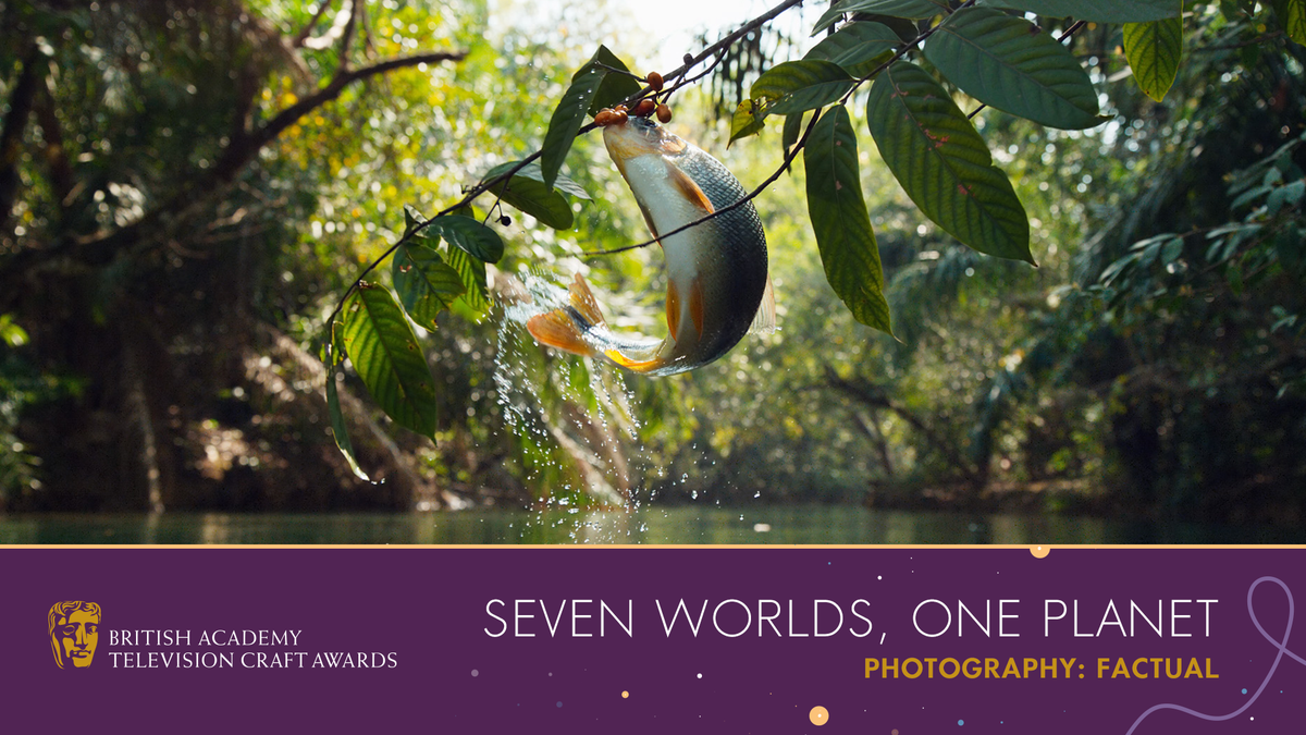 BAFTA's tweet photo. The Photography: Factual winners are … Bertie Gregory, Howard Bourne and John Shier for Seven Worlds, One Planet 📷👏
Sponsored by @TheFarmGroup 
#BAFTATV https://t.co/zJZVpwFg3K