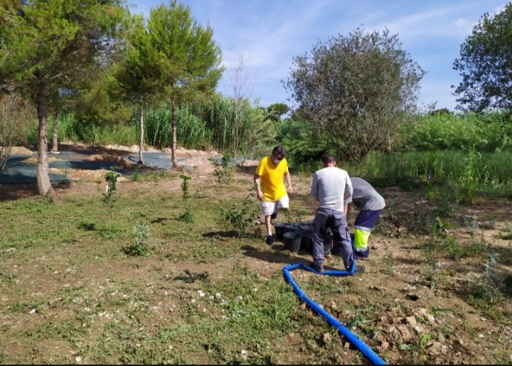 bosques_turia's tweet photo. Riegos en el Parc Fluvial @CHJucar, #PNTuria @GVAparcs, Riba-roja @EcoRiba_. El colectivo de @afempes y miembros de la Coordinadora en Defensa @bosques_turia hemos realizado un riego en una amplia zona, la cual con anterioridad estaba llena de cañas
https://t.co/V180oXcDlJ https://t.co/N91DCpt9Ee