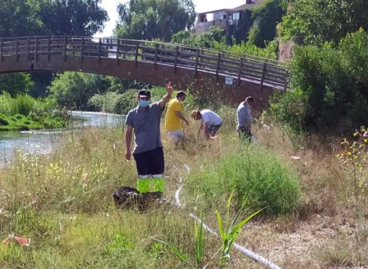 bosques_turia's tweet photo. Riegos en el Parc Fluvial @CHJucar, #PNTuria @GVAparcs, Riba-roja @EcoRiba_. El colectivo de @afempes y miembros de la Coordinadora en Defensa @bosques_turia hemos realizado un riego en una amplia zona, la cual con anterioridad estaba llena de cañas
https://t.co/V180oXcDlJ https://t.co/N91DCpt9Ee