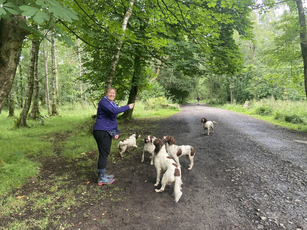 MissSullivan06's tweet photo. #keepwalking #springerfamily #walkswithdogs https://t.co/QCQajOfaEY