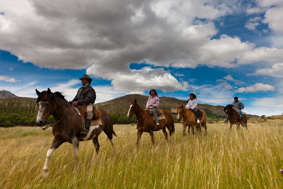 Cabalgatas en Esquel: Paisajes inmensos desde la mirada de los arrieros del sur

Coloridos cerros que estriban en la cordillera, conforman el marco escenográfico perfecto para las cabalgatas que desde una chacra ubicada en la entrada de Esquel...

turismoygestion.com/cabalgatas-en-…