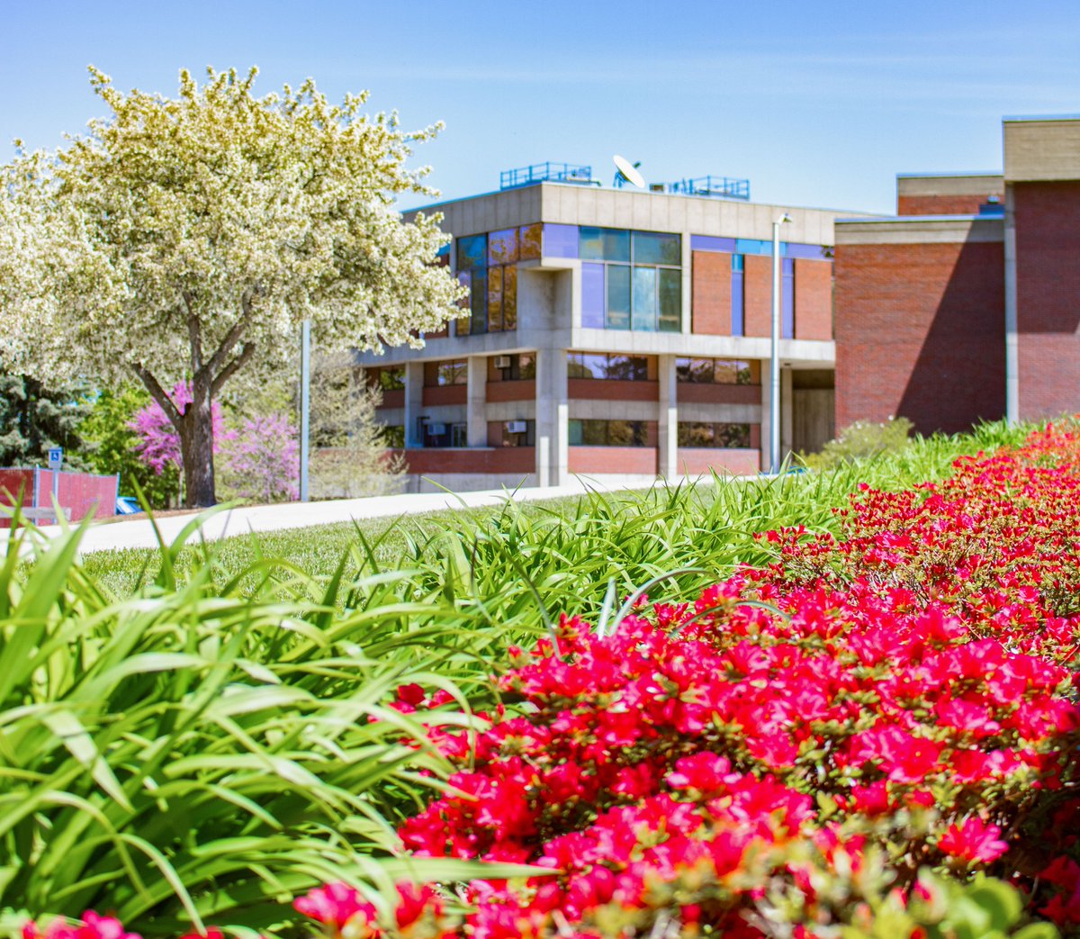 UMassLowell's tweet photo. As the university continues to plan and work to prepare for the Fall Semester our FAQs are regularly being updated in response to your feedback. Click the Fall 2020 FAQ link in our bio for the most up-to-date information. https://t.co/CrPX4v8ifL
#umasslowell #fallplanning https://t.co/QnJcEOQCTx