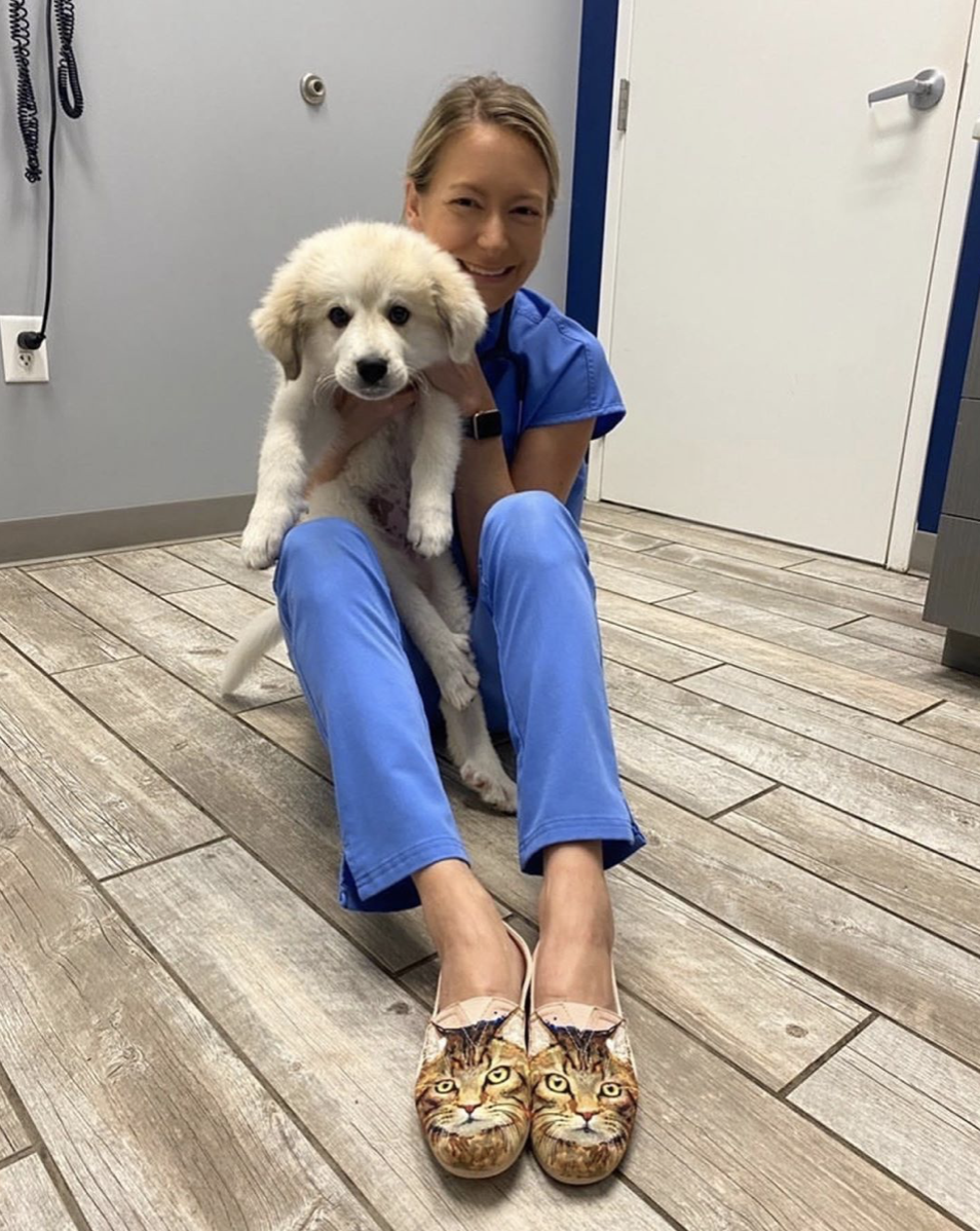 bobs plush cats rule