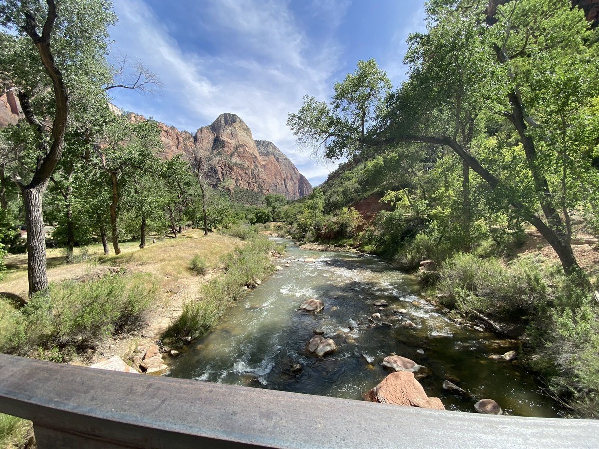ZionGlampingAd's tweet photo. The intensity of the colors—the vivid ruby of the rocks, the clear sapphire of the sky, the emerald of the grass—make Zion National Park a treasure of the West.
#zion #observationpoint #loweremeraldpooltrail #thenarrows #subwaytrail #utah #bucketlist #summer #TravelThisWeekend https://t.co/AQhAnIhSGF