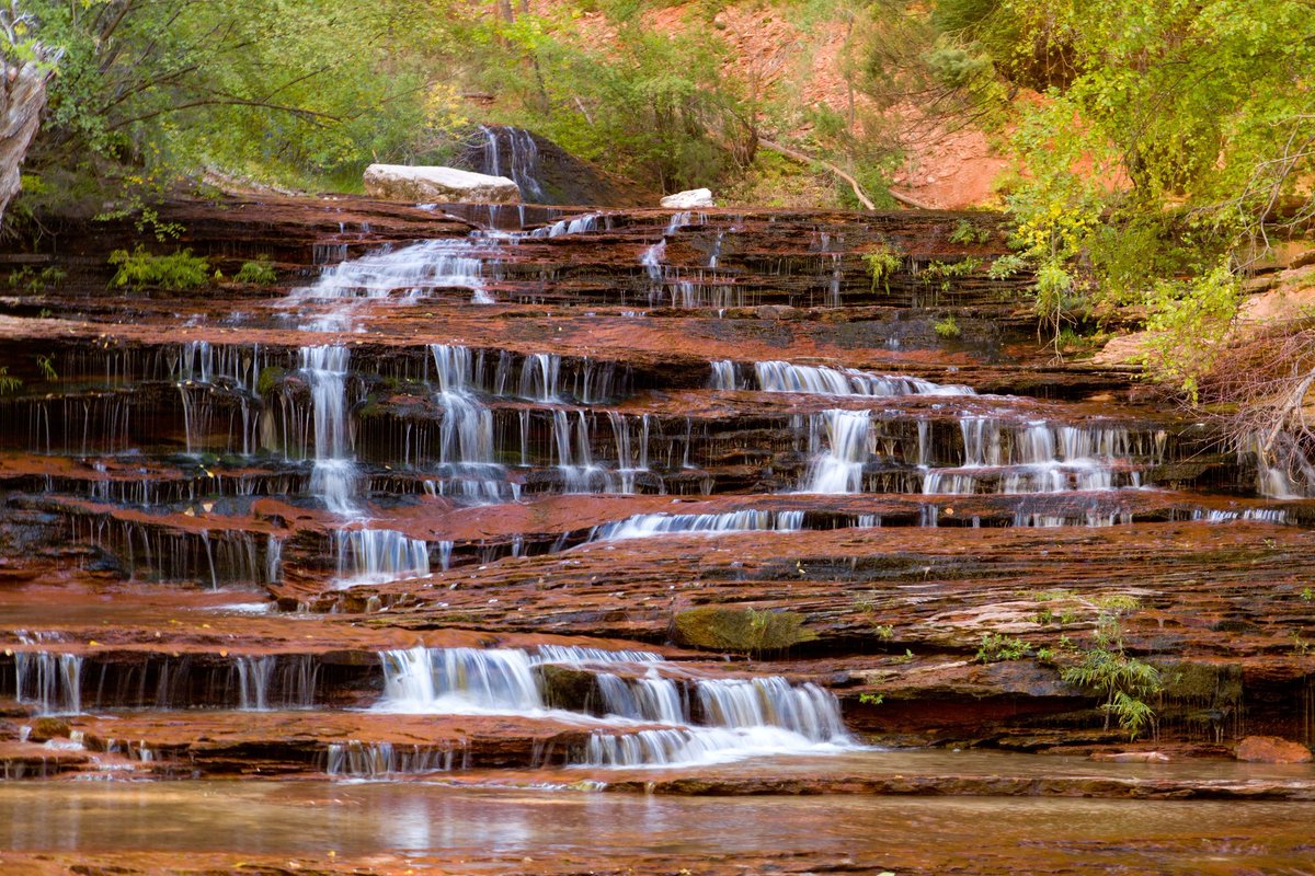 ZionGlampingAd's tweet photo. The intensity of the colors—the vivid ruby of the rocks, the clear sapphire of the sky, the emerald of the grass—make Zion National Park a treasure of the West.
#zion #observationpoint #loweremeraldpooltrail #thenarrows #subwaytrail #utah #bucketlist #summer #TravelThisWeekend https://t.co/AQhAnIhSGF