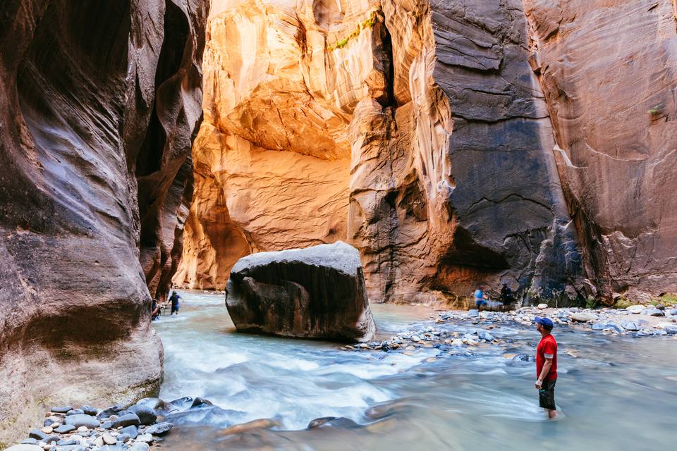 ZionGlampingAd's tweet photo. The intensity of the colors—the vivid ruby of the rocks, the clear sapphire of the sky, the emerald of the grass—make Zion National Park a treasure of the West.
#zion #observationpoint #loweremeraldpooltrail #thenarrows #subwaytrail #utah #bucketlist #summer #TravelThisWeekend https://t.co/AQhAnIhSGF