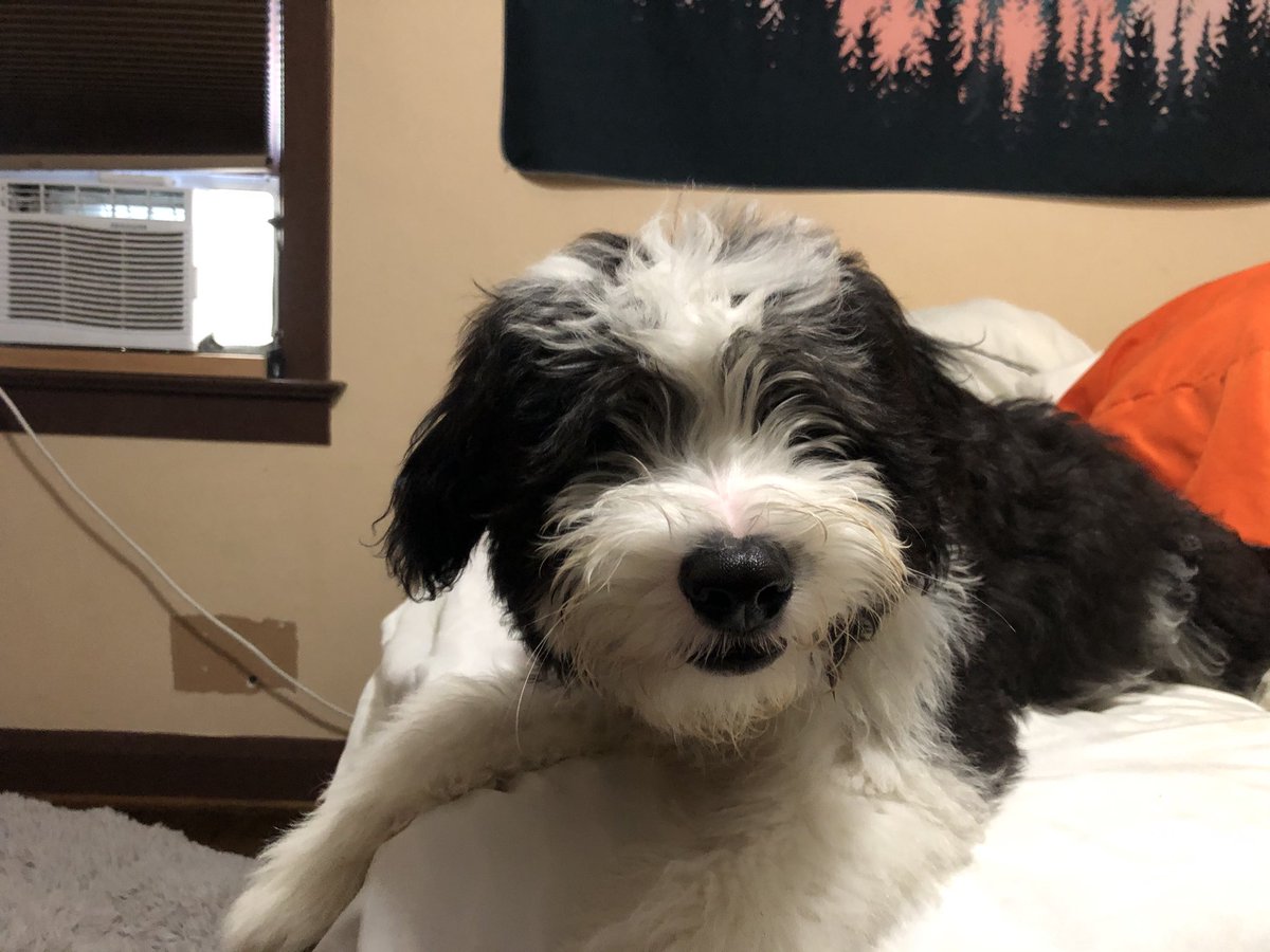 I lost a baby tooth!!