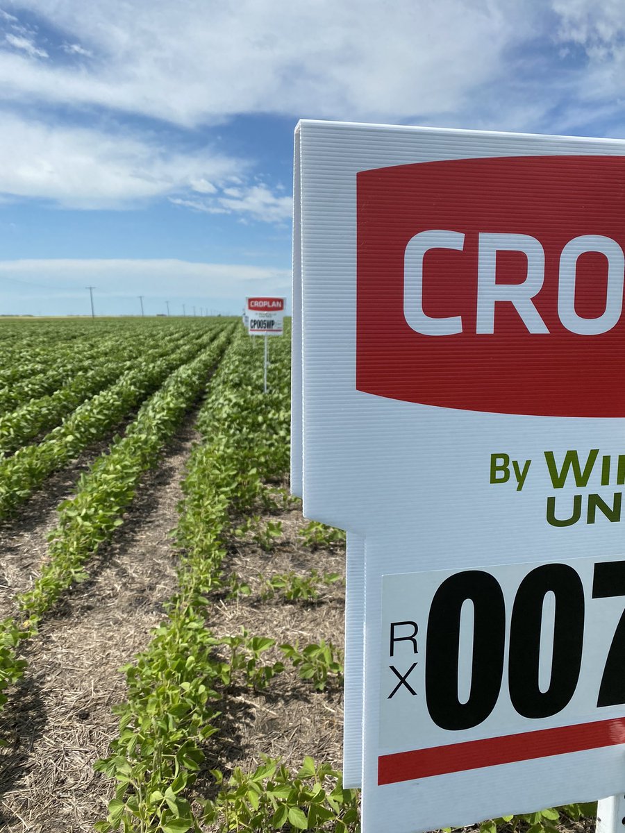 TStoroschuk's tweet photo. And up they go! @RussAudet @WinFieldCanada #WUCAcademy #syngenta #northstar #brettyoung #dekalb #croplan next to do, the corn! Beans are looking fantastic this year... https://t.co/RqhadFOYj8