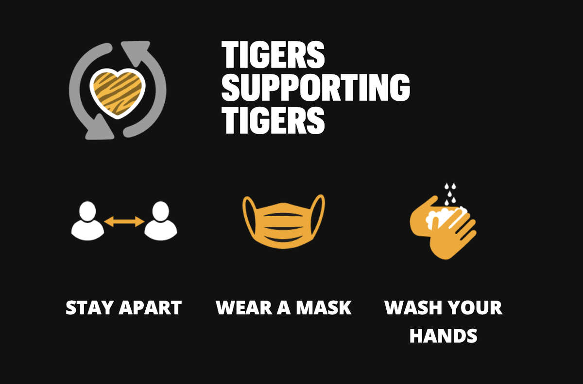 Mizzou's tweet photo. Tigers, two weeks before you plan to return to #Mizzou, we recommend you isolate &amp; closely monitor any changes to your health. Pay particular attention to your temperature and #COVID19 symptoms. Find more information here: #TigersSupportTigers https://t.co/pkrtW3P4j8 https://t.co/pUsby3bYHJ