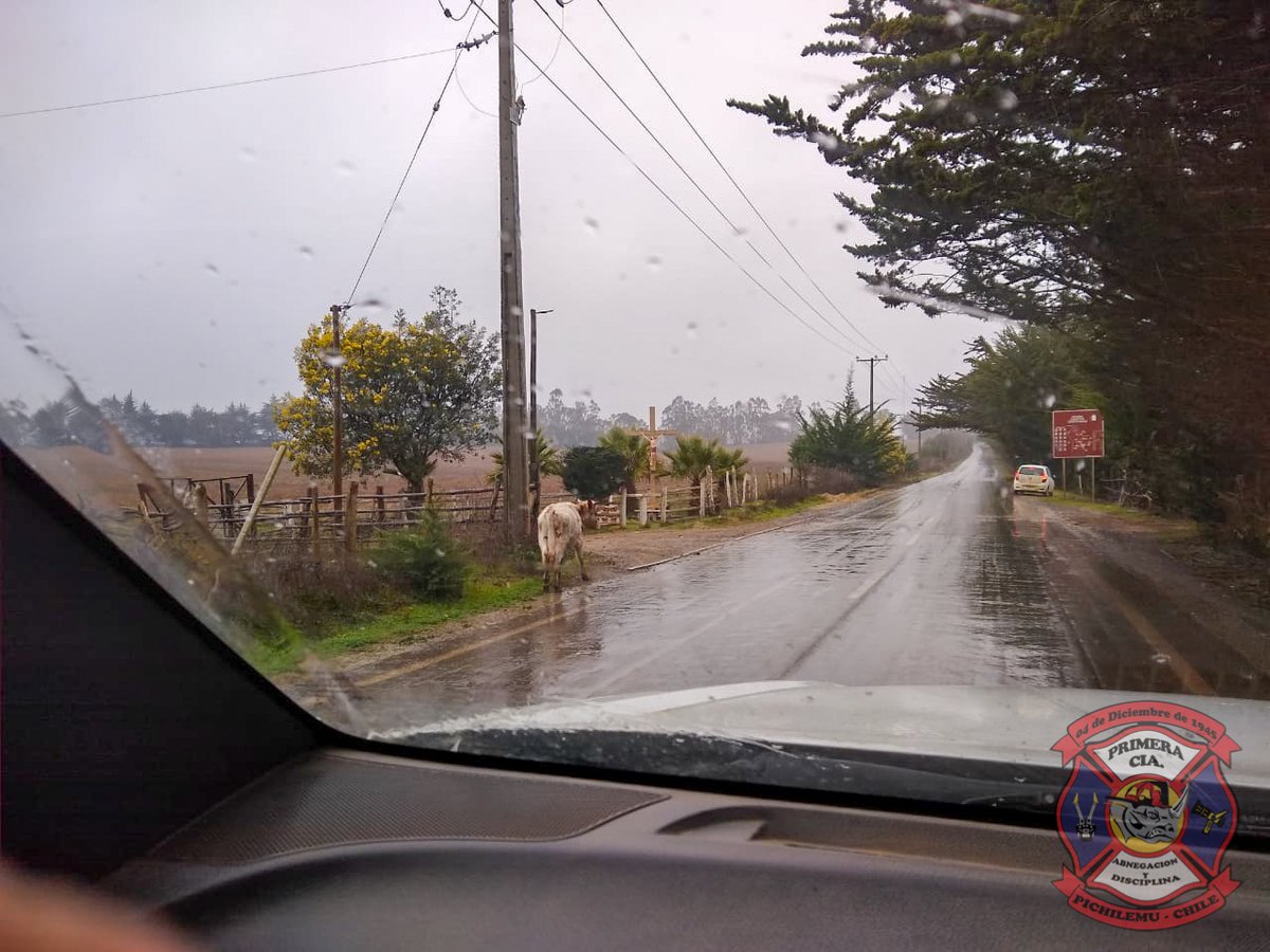1eraPichilemu's tweet photo. ⚠️ATENCIÓN⚠️

Nos informan de animal en la via en la ruta que une Pichilemu y el sector de Ciruelos (a la altura del Cristo)

PRECAUCIÓN

@rre_603_pmu @EntreolasFM @somospichilemu1 @pichilemutvorg @CarrenoCordova https://t.co/yUsasyV4JT