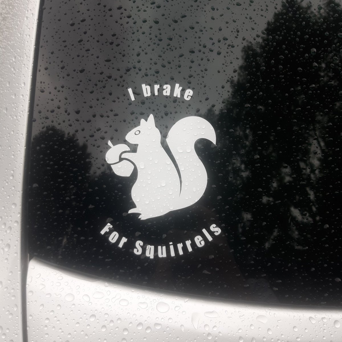 Biokat93's tweet photo. A decal I made as a gift to my physical therapist! She put it on her car right away, I feel honored.

#decal #oracle651 #cameo3 https://t.co/VBVLvYmO1v