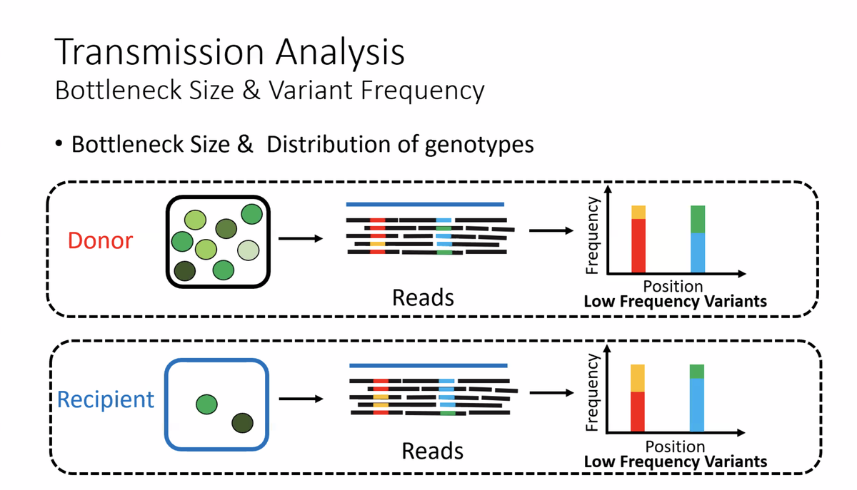 Covirt19's tweet photo. Dr. Treangen @traingene @RiceCompSci is introducing the #Virus Subgroup @Covirt19 and presenting exciting data on #transmission #SNPs #iSNVs 🦠

- data on BioRxiv: https://t.co/pa01DxwEVm

👉2nd annual @Covirt19 symposium! #COVID__19 #covirt2 @Covirt19 #COVID19 #SARSCoV2 https://t.co/nfNmV8TXKy