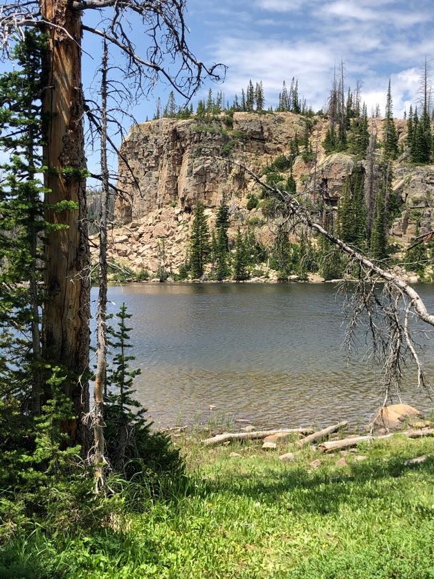 EllenShoemaker1's tweet photo. Enjoying our first few days in Utah at my sister’s house. View from her deck and our trip to Uintas National Forest yesterday. Worth the 29.5 hour drive! https://t.co/xmgvs38Dce