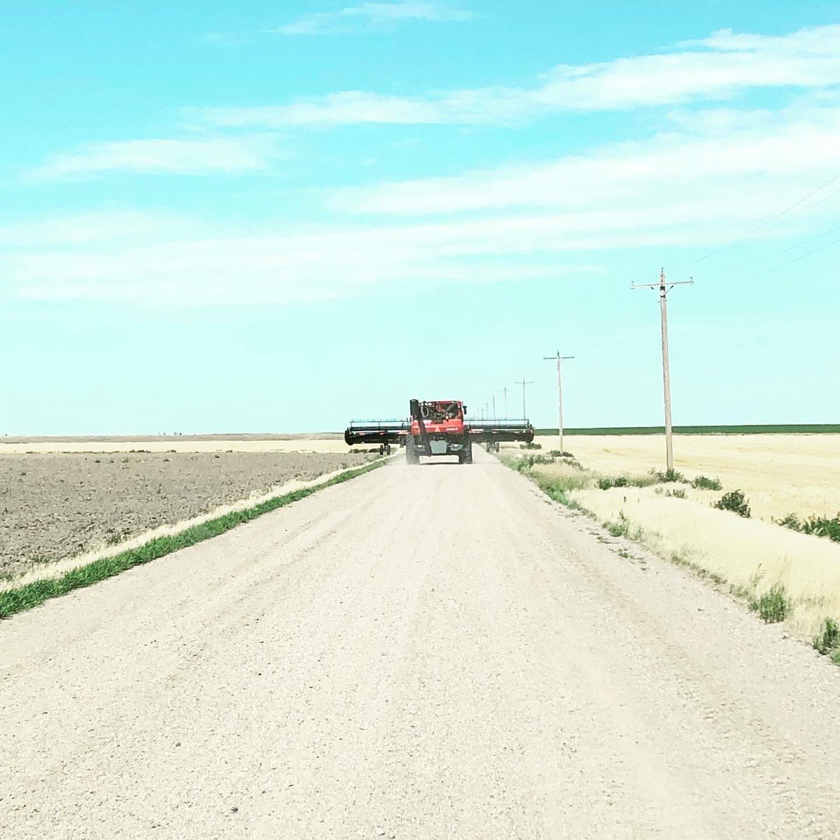 Kristin (Witte) Dolechek tweet media