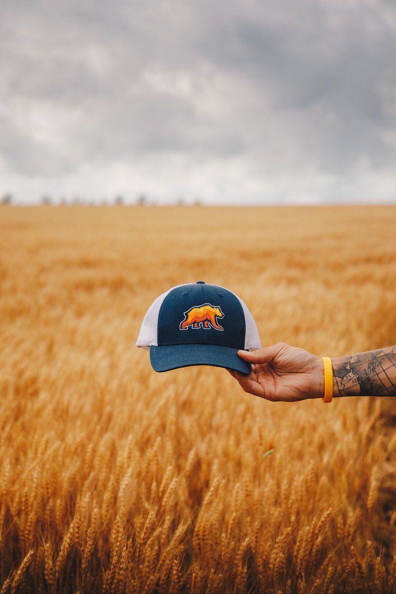 🐻#capturewithsoka