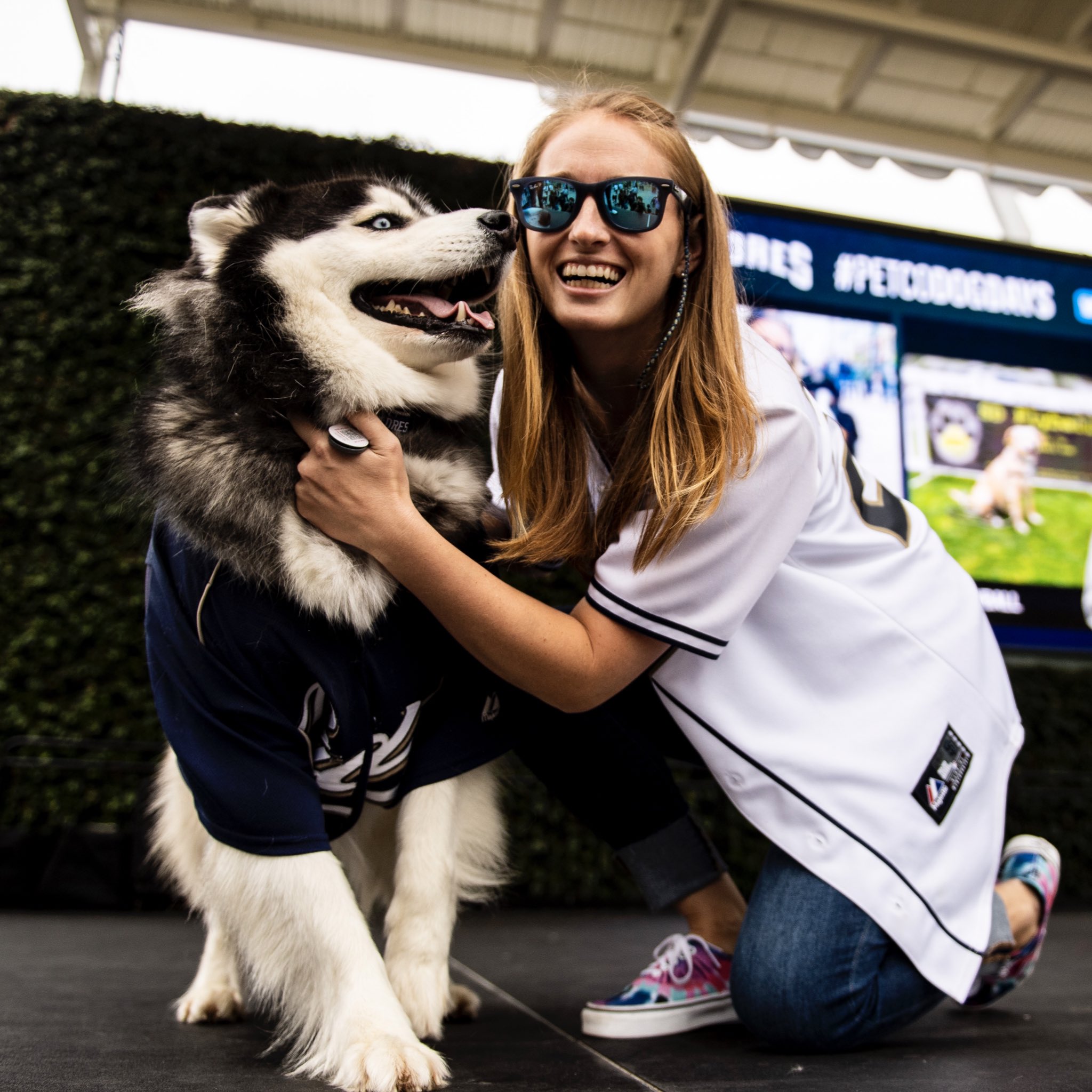 Dog goggles petco sales