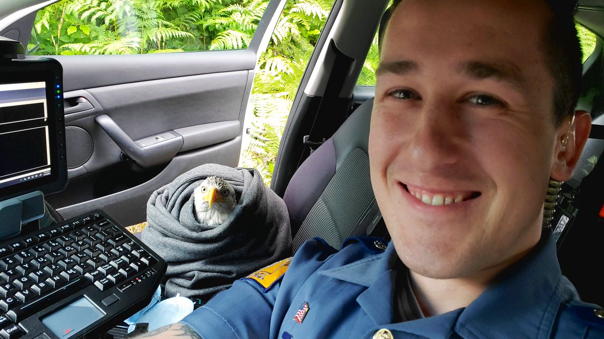 Trooper Katherine Weatherwax tweet media