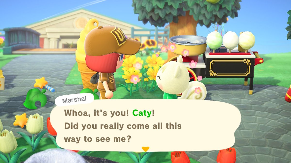 acnhsupplier's tweet photo. #AnimalCrossing #ACNH #NintendoSwitch https://t.co/CizGt2lhJn