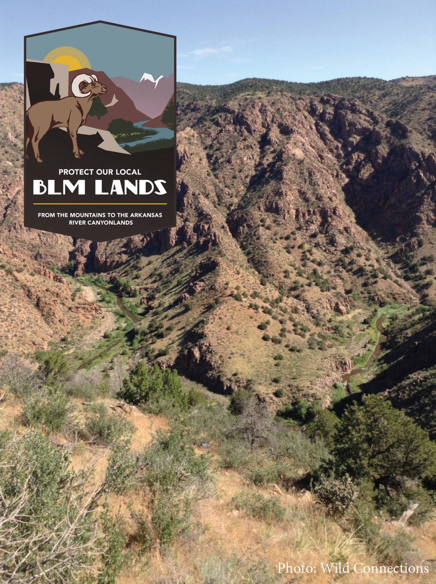Wildconections2's tweet photo. New @ArkValleyVoice article outlines threats to Grape Creek proposed wilderness, quoting @RepDianaDeGette, our own John Sztukowski, &amp; references @EcoFlight1's recent Grape Creek Virtual Tour.

Read the full article at: https://t.co/8Gn6yCgiNy

#BLMWild #protectpubliclands https://t.co/b8LFCFiTRP