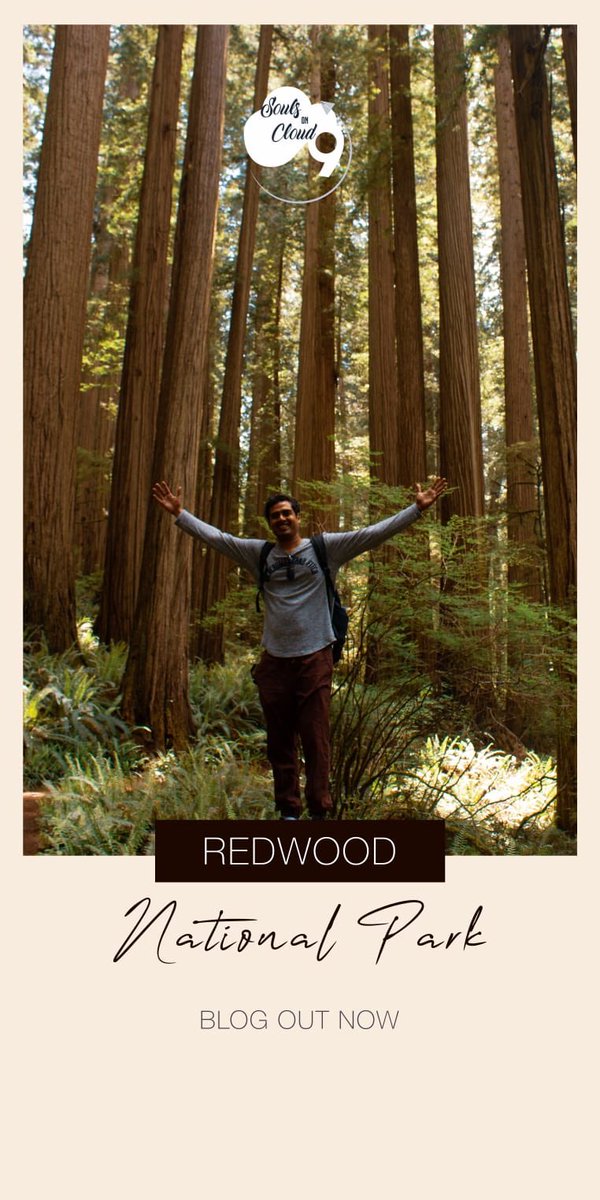 souls_cloud's tweet photo. • Stand tall and proud.
• Sink your roots into the earth.
• Be content with your natural beauty.
• Go out on a limb.
• Drink plenty of water.
• Remember your roots.
• Enjoy the view!
Advice from #redwood

Check out our blog https://t.co/cfTGTtBAAM https://t.co/EEmPHjsPqj