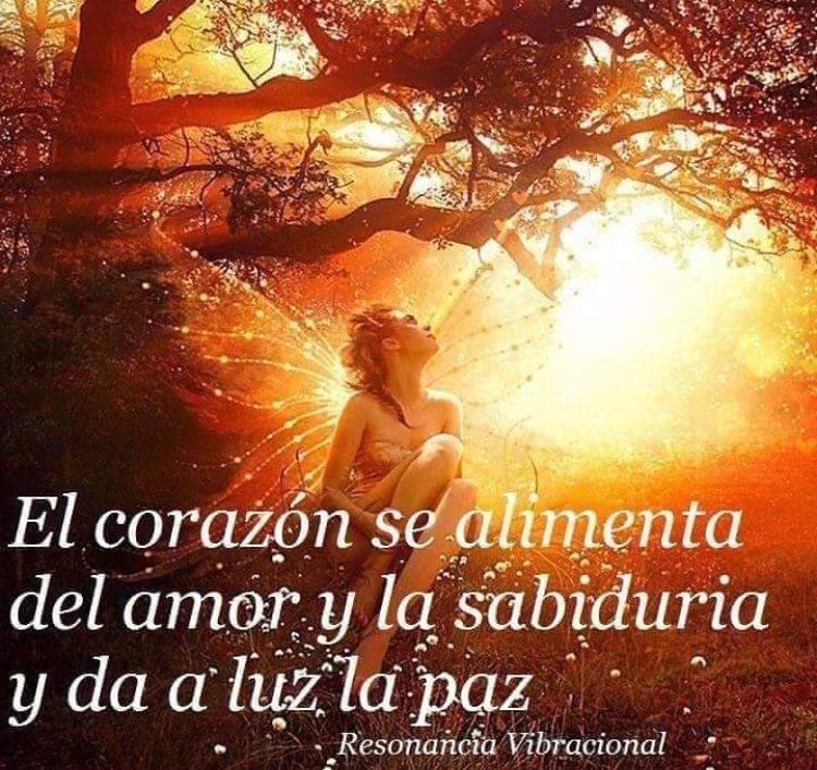 clerbartolacci's tweet photo. Muchas veces los ruidos externos nos roban la Paz. Trabajemos para que eso no ocurra. https://t.co/eEn6u9AYTi