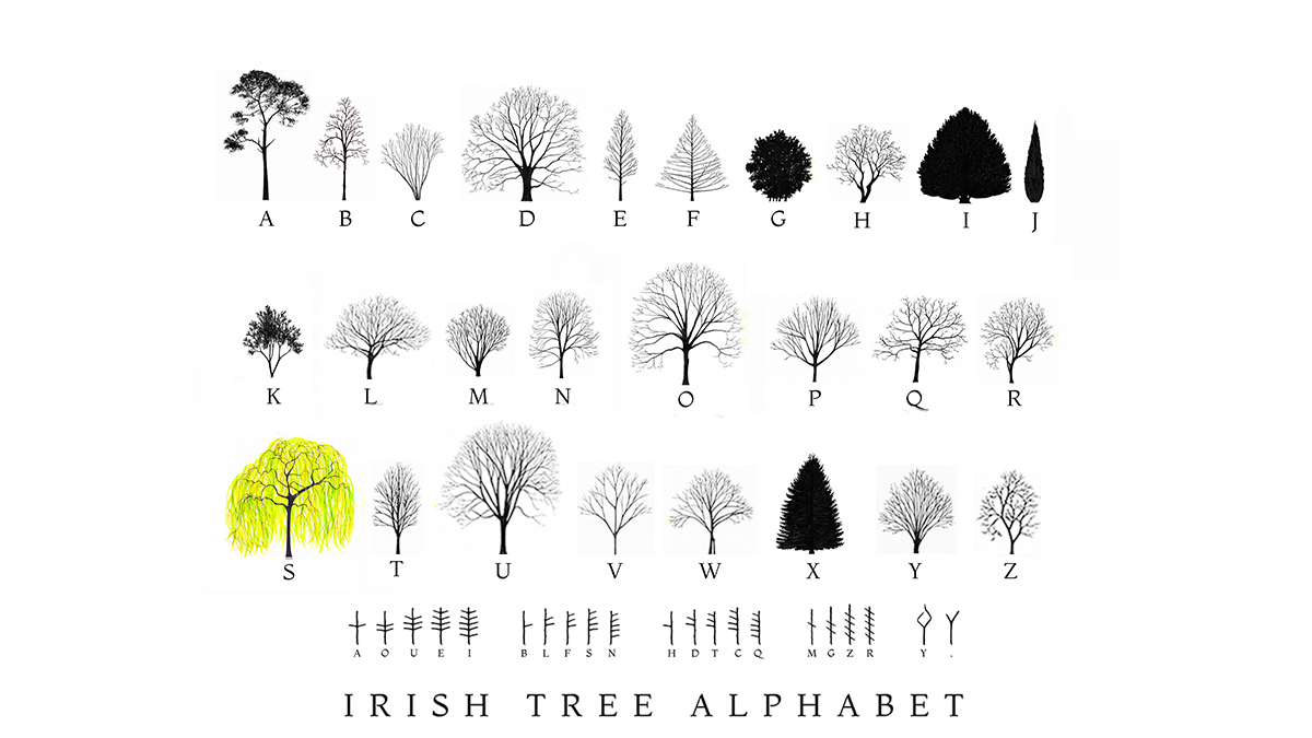 katieholten's tweet photo. Find out more about the Irish Tree Alphabet on @VisualCarlow's website, including info on #WordsMatter, a shared space for performance and calls to action with @JessicaTraynor6, @FeliSpeaks, @johnscottdance & Tobi Omoteso.
https://t.co/KvwElV8cMV 🌱 https://t.co/fD7AgoUVmw