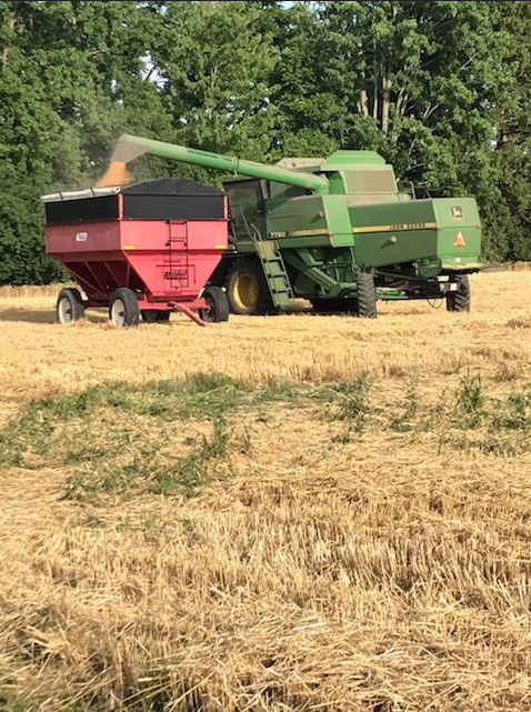 Bluewater_GP's tweet photo. 347 bushels of wheat produced for our local Canadian Foodgrains Bank project #bluewatergrowingproject https://t.co/ba7kEMC4tG