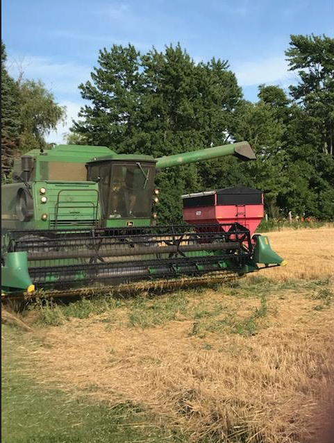 Bluewater_GP's tweet photo. 347 bushels of wheat produced for our local Canadian Foodgrains Bank project #bluewatergrowingproject https://t.co/ba7kEMC4tG