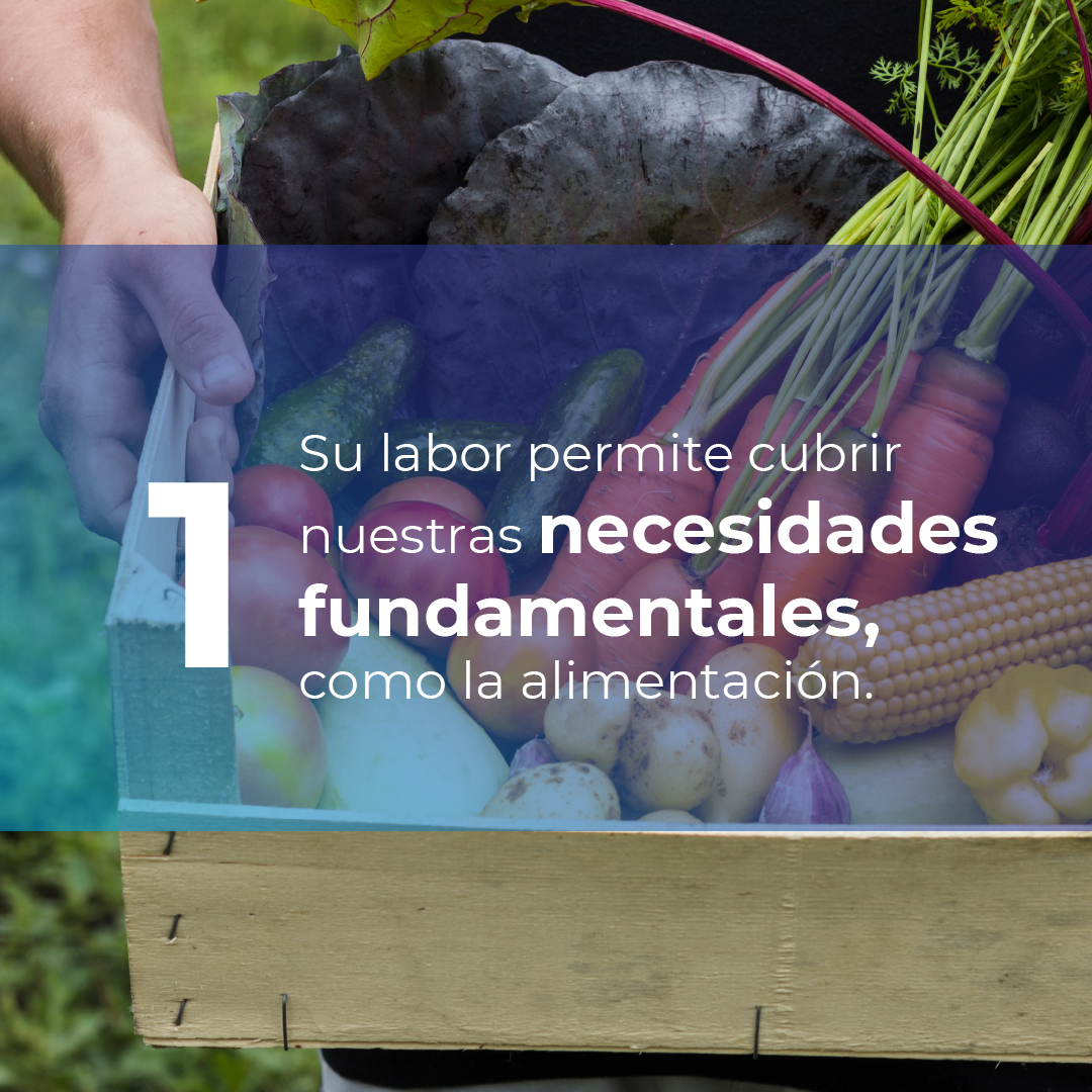 BolsaMercantil's tweet photo. ¿Cómo ayudamos a la formalización del sector agropecuario? #Financiamos de una forma diferente tu producción, basados en información de valor para la generación de #Precios y #Estadísticas del mercado. Te impulsamos a seguir cumpliendo tus propósitos con el país y el sector. https://t.co/OhPZR7zgrI