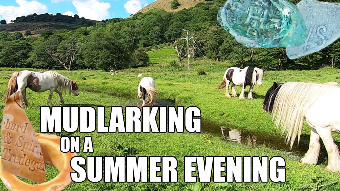 Need to relax? Why not join us on a summer evening mudlark? Great scenery, beautiful animals and interesting finds too! youtube.com/watch?v=RAVufr…