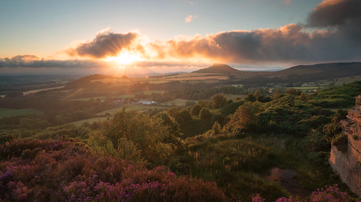 DoghousePostPro's tweet photo. Turn over to BBC Two in half an hour to watch the final episode of #AWildYear, this time exploring the beautiful North York Moors.

Finishing Post by Doghouse. https://t.co/R38YGAUA2J