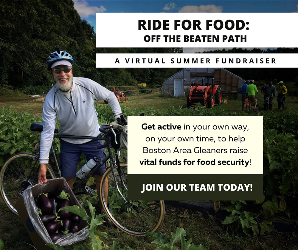 bostonareaglean's tweet photo. Get active this summer & raise money to address food insecurity in MA! Join BAG's #RideforFood team and set a plan to get active in your own way, on your own time, to help us reach our fundraising goal!
Learn more & sign up here: https://t.co/sePwXQjJTY https://t.co/tOCCuaEpV6