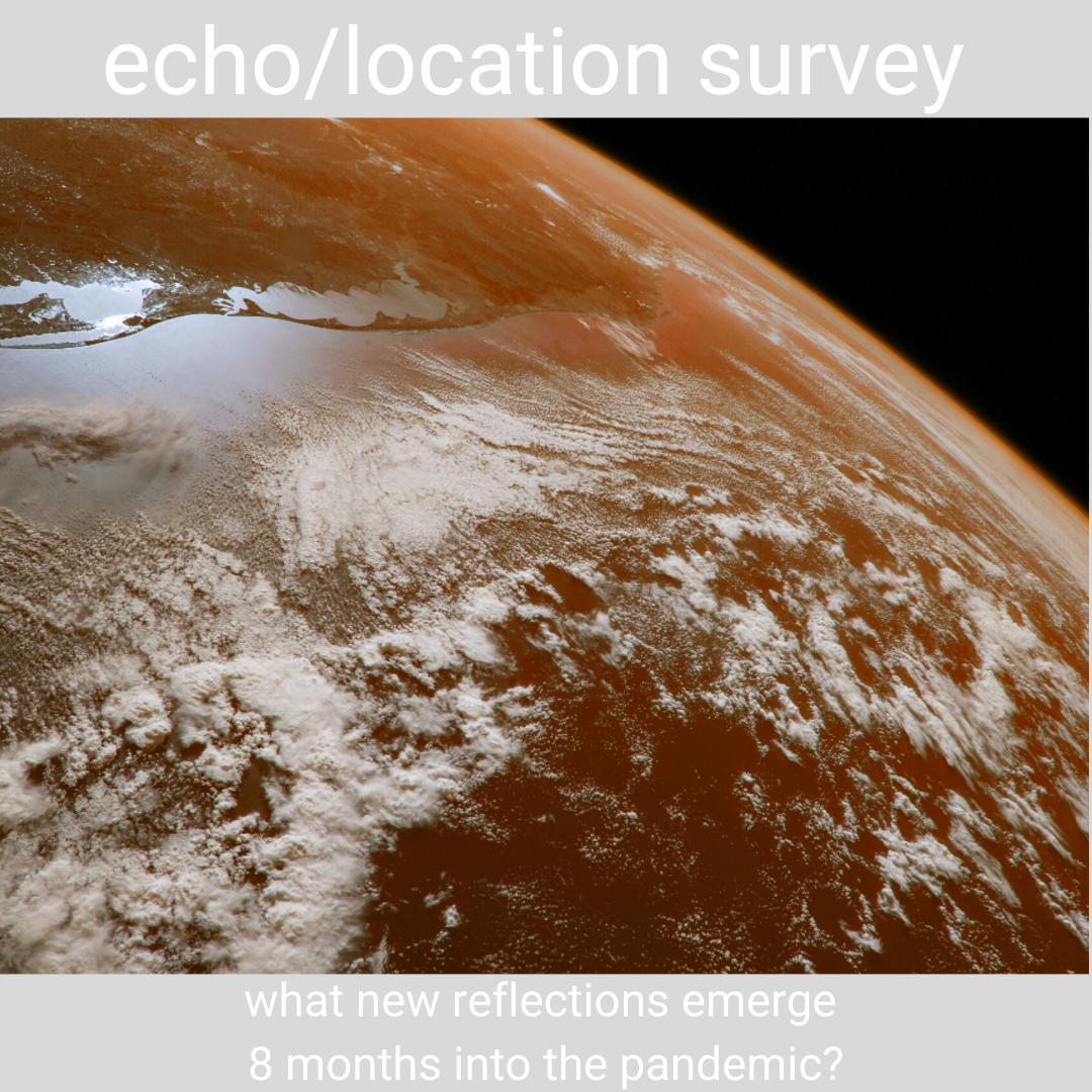 Great Pause Project tweet media