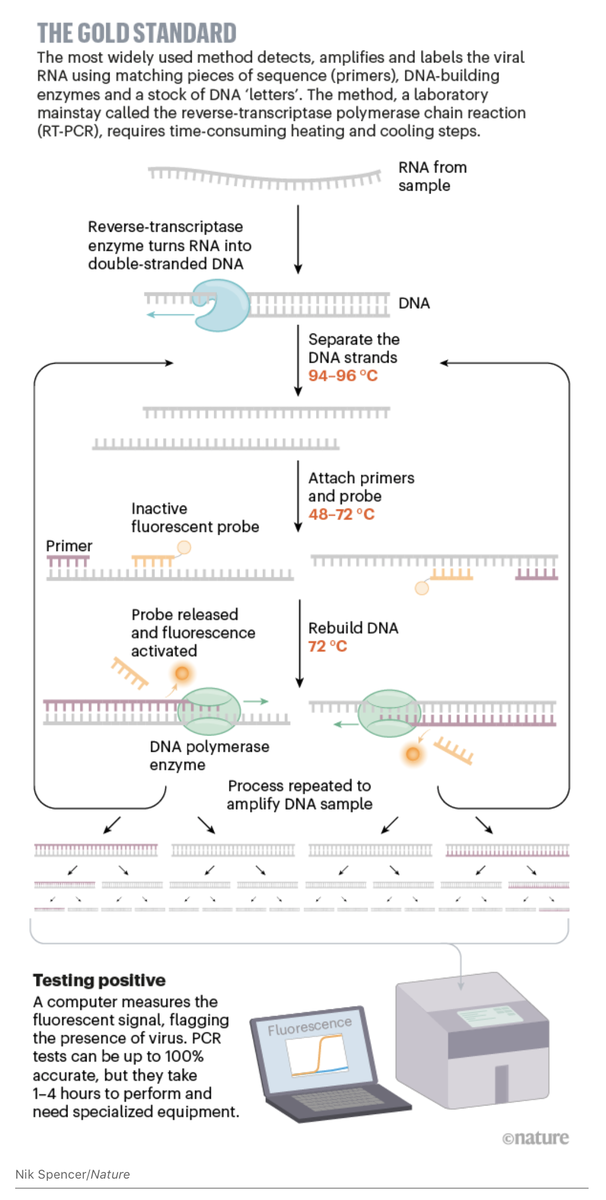 EricTopol's tweet photo. We have a #COVID19 testing mess in the US. But a new @NatureNews feature shows the way forward beyond the PCR "gold standard" to rapid diagnostics with real + transformative potential
https://t.co/Z9Knb4jL0g
by @GiorgiaWithAnI and graphics by @nikinks https://t.co/XlwGuEr1Ll