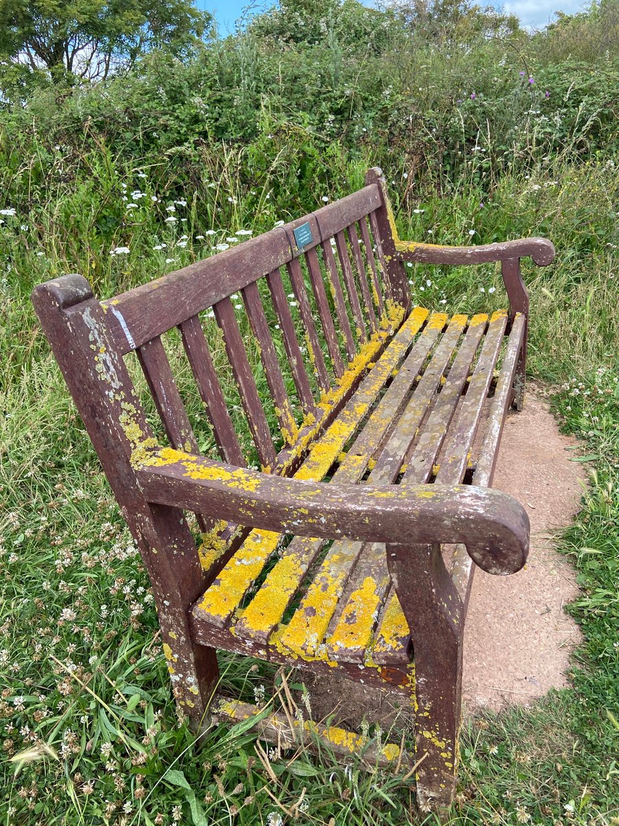 bernoid's tweet photo. Bench of the week #BenchOfTheWeek #benchporn #bench #lichen #RiverOtter #BudleighSalterton https://t.co/YnqATpQilV