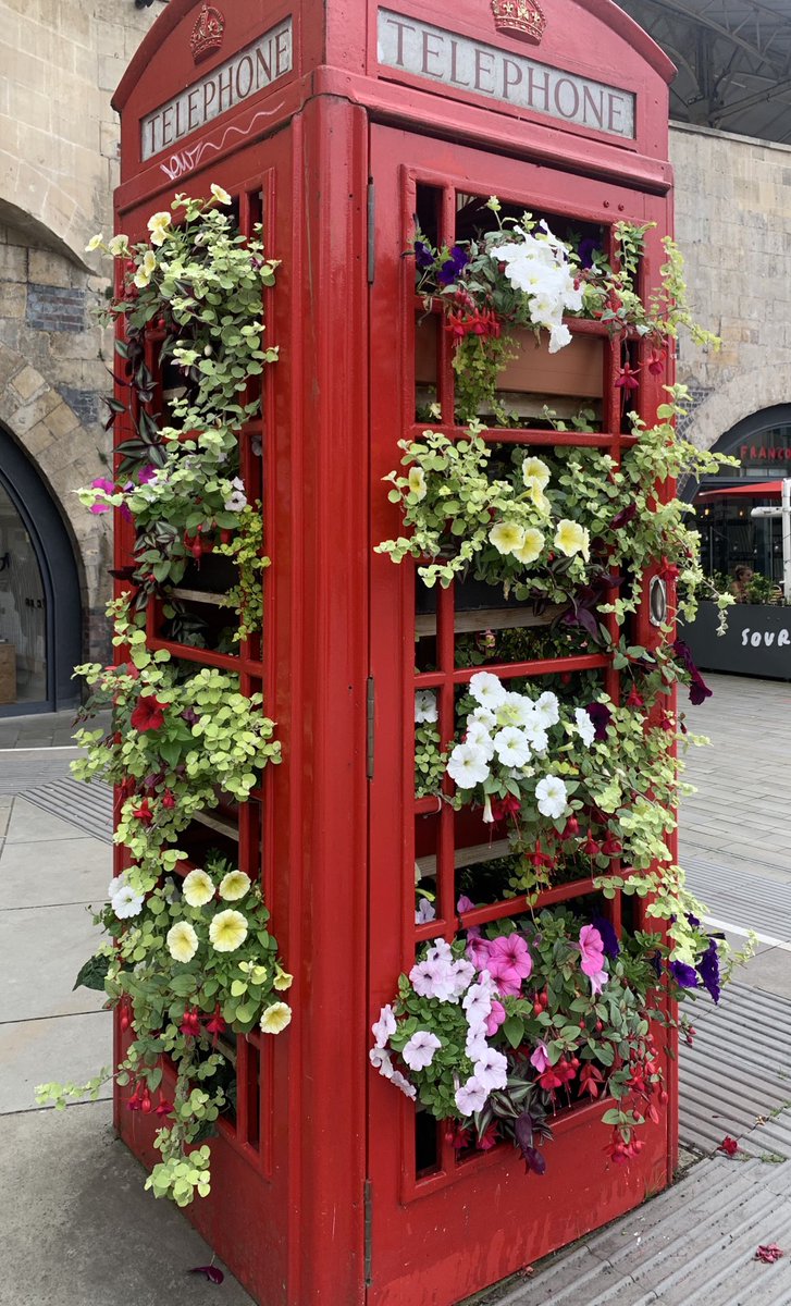 Loving Bath’s Telephone Boxes, what a great way to reuse decommissioned Telephone Boxes #Bath  #RedTelephoneBoxes #CityofBath