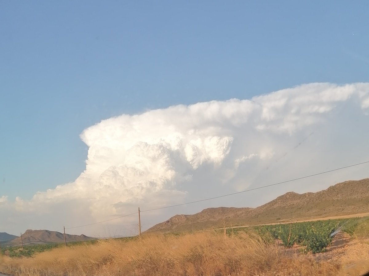 Beyka_bea's tweet photo. @tiempobrasero sierra (Albacete) https://t.co/kUYpPzpT9o