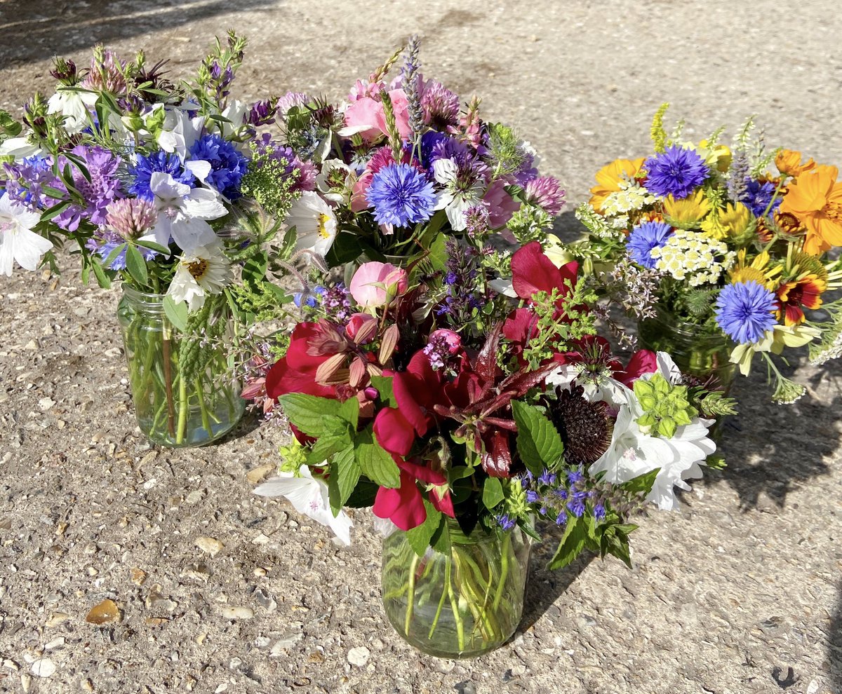 Lisa Dew, Rose Florist tweet media