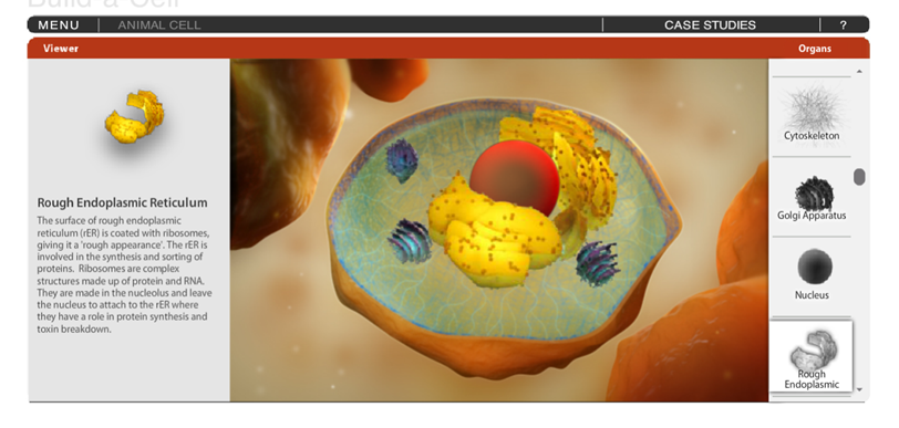 Just discovered 'Build-A-Cell' - a drag/drop interactive game to teach students about organelles in various cell types. Friday evening and I have just spent the last hr playing it... Free to register! <a href="/chatbiology/">Chat Biology</a> #chatbiology #ffbteachers #ffbbiology

spongelab.com/game_pages/BAC…
