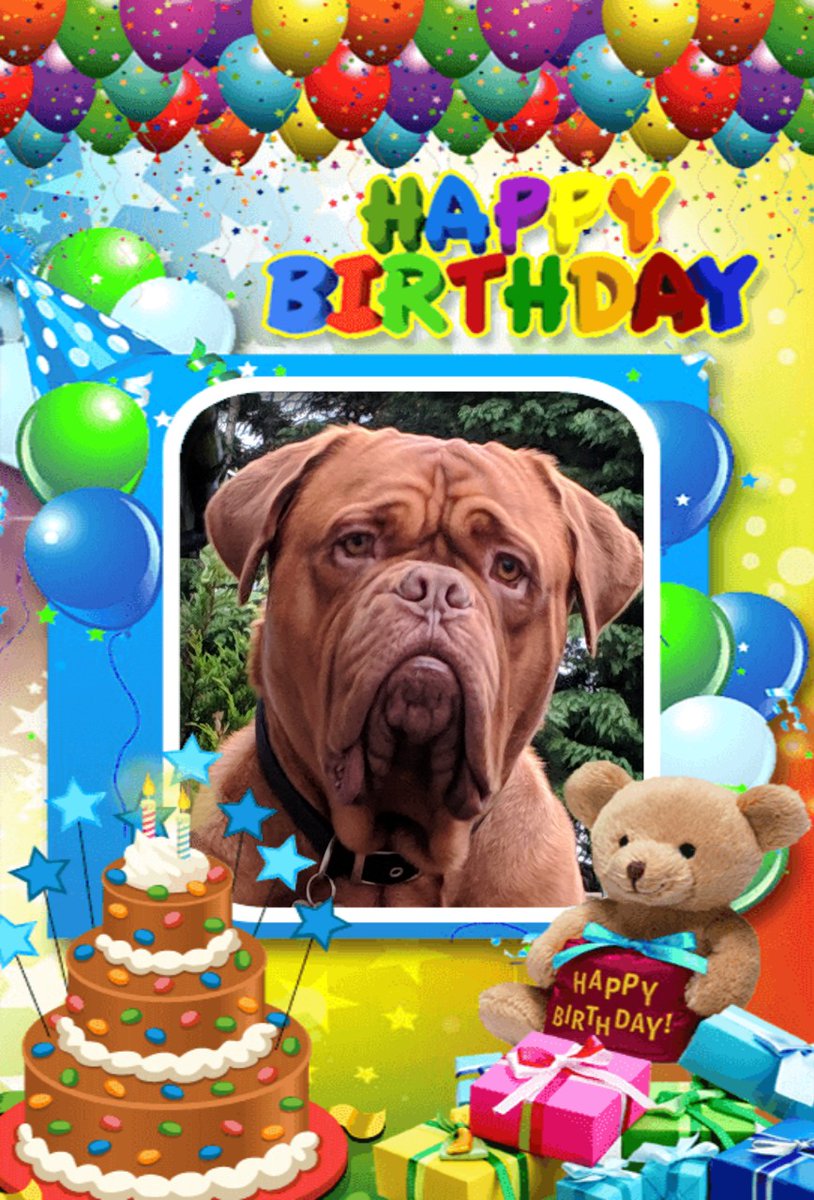 colin_ddb's tweet photo. @kymwylson Happy birthday old boy!  Dinnae be eating all that cake at once noo 😋🐾👍 https://t.co/WQ90Sw9zpX