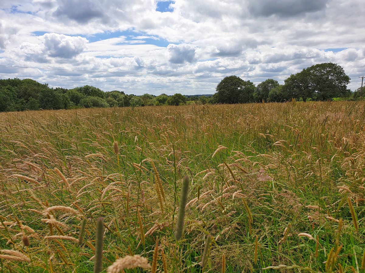 peterspeake's tweet photo. A couple more from #Consall #Staffordshiremoorlands https://t.co/jl55VmXv26