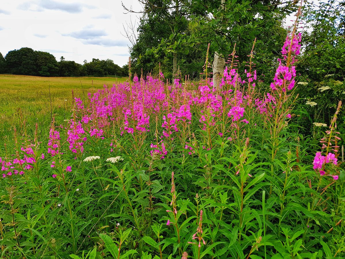 peterspeake's tweet photo. A couple more from #Consall #Staffordshiremoorlands https://t.co/jl55VmXv26