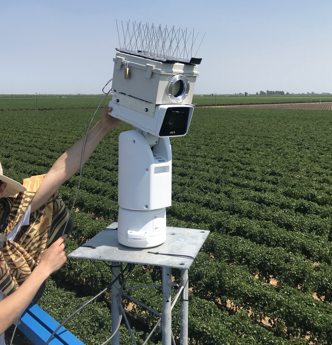 Troy Magney (@troymagney) on Twitter photo Meet "Beyonce": it's a Breathing Ecosystem Y'all: Optical Near-surface Camera Equipment... for hyperspectral remote sensing of grape physiology during a <a href="/GalloFamily/">GalloFamilyVineyards</a> water stress experiment w/ <a href="/ChrisYSWong/">Chris Wong</a>, Bobby Arlen, <a href="/atmosjones/">Taylor Jones</a> and inspiration from <a href="/Beyonce/">BEYONCÉ</a> Meet "Beyonce": it's a Breathing Ecosystem Y'all: Optical Near-surface Camera Equipment... for hyperspectral remote sensing of grape physiology during a <a href="/GalloFamily/">GalloFamilyVineyards</a> water stress experiment w/ <a href="/ChrisYSWong/">Chris Wong</a>, Bobby Arlen, <a href="/atmosjones/">Taylor Jones</a> and inspiration from <a href="/Beyonce/">BEYONCÉ</a>