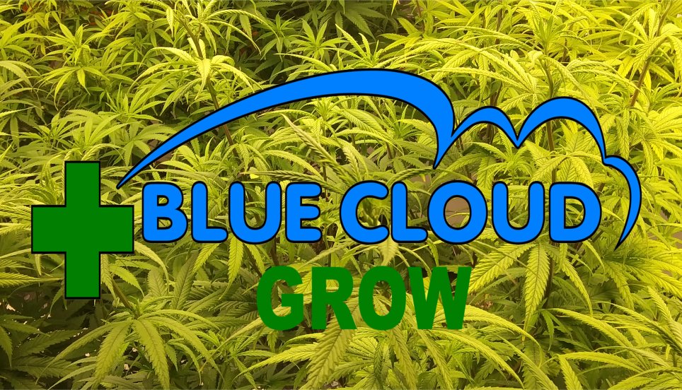 BCEKansas's tweet photo. Make sure to check out our sister company on facebook..https://t.co/Y37PIc6tzb..... They grow and process all our hemp products. They will soon be offering processing to fellow hemp farmers as well. #KSHEMPPROCESSOR #KSHEMPGROWER https://t.co/WogL7frl0r