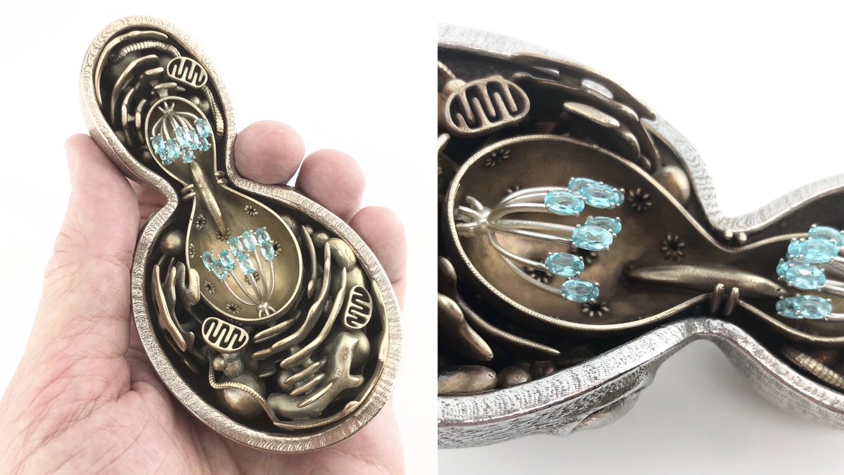 dadrummondart's tweet photo. For #sciartportfolioweek my metal and gemstone budding yeast cell in the late anaphase stage of cell division. Steel, bronze, silver, and apatite. See if you can name all the structures you see! https://t.co/fY5xIIbjlo