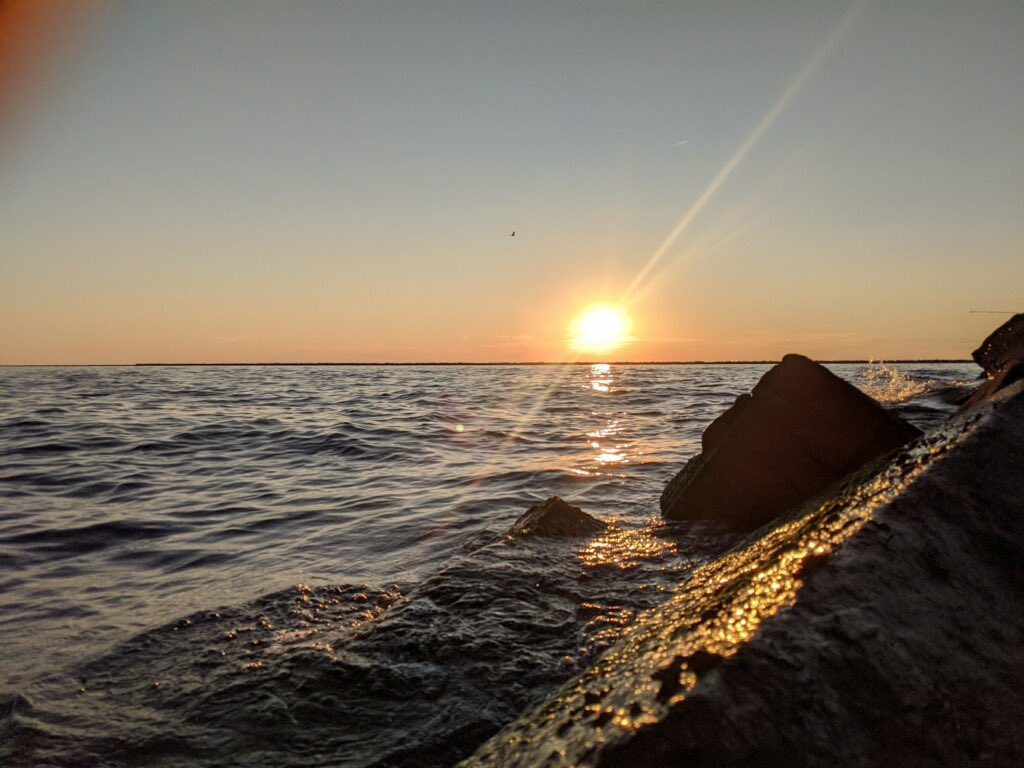 klsol's tweet image. Happy Friday my friends!